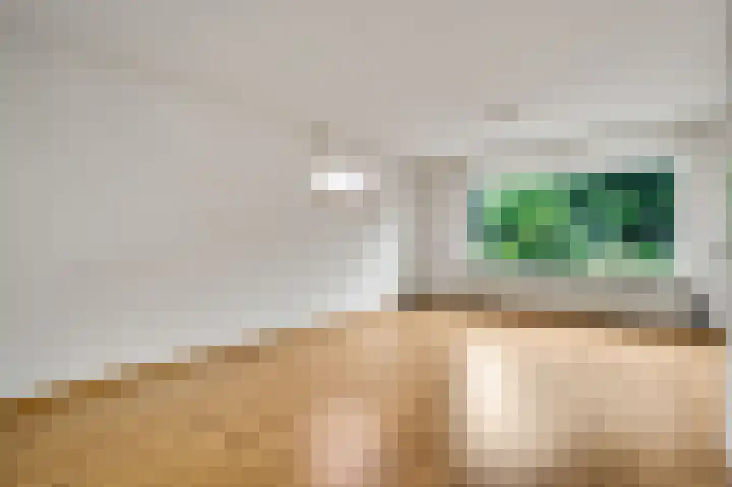 Begoniastraat 26 Ittervoort thumbnail 10