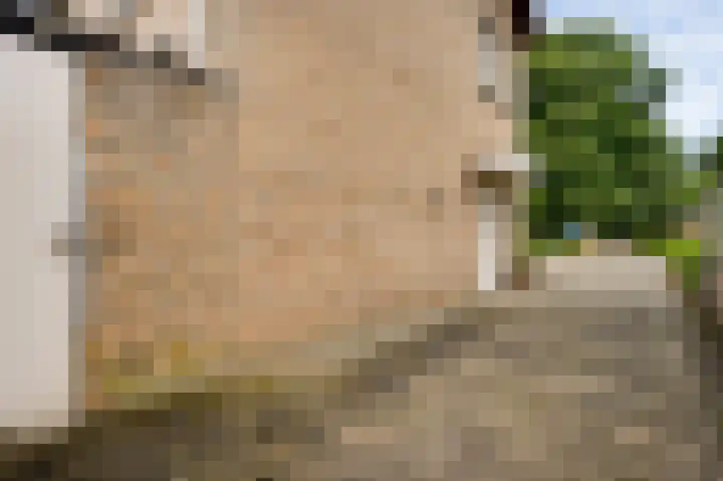 Begoniastraat 26 Ittervoort thumbnail 36