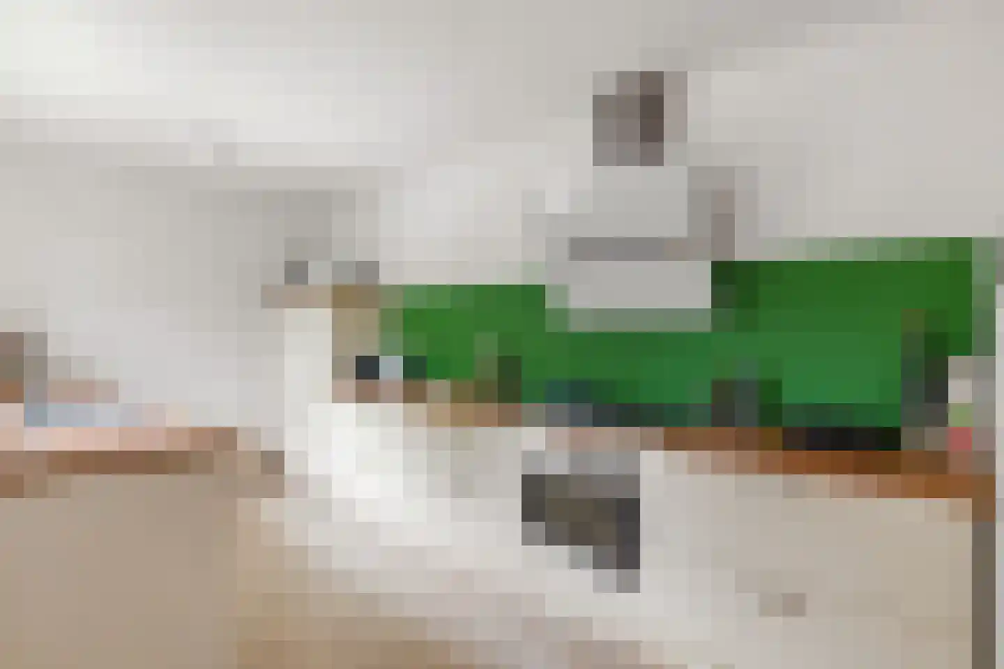 Begoniastraat 26 Olst thumbnail 11