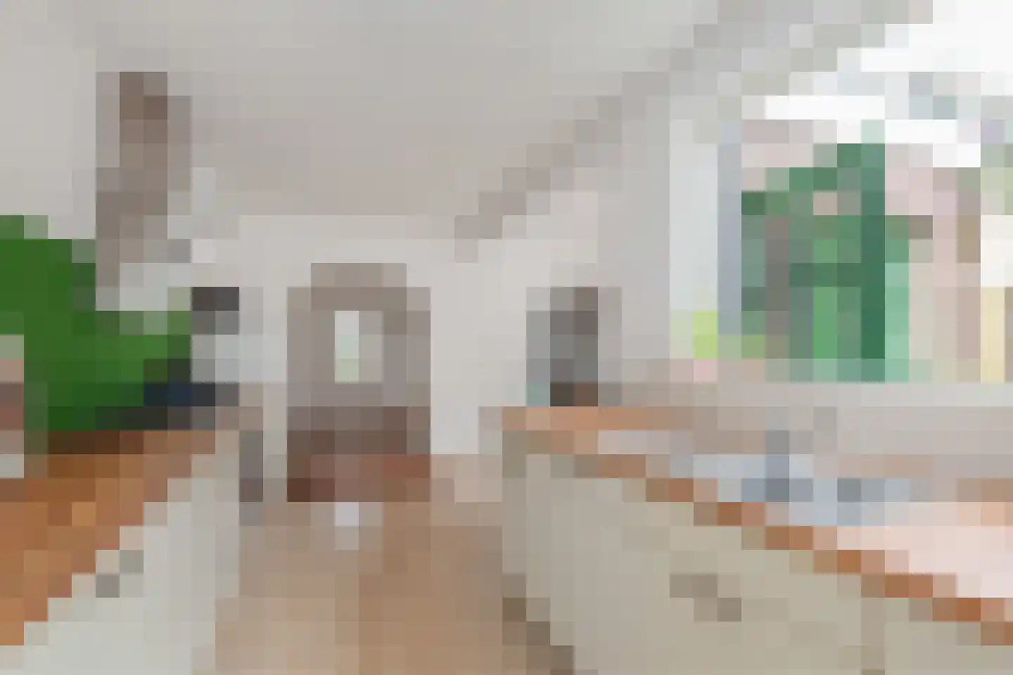Begoniastraat 26 Olst thumbnail 13