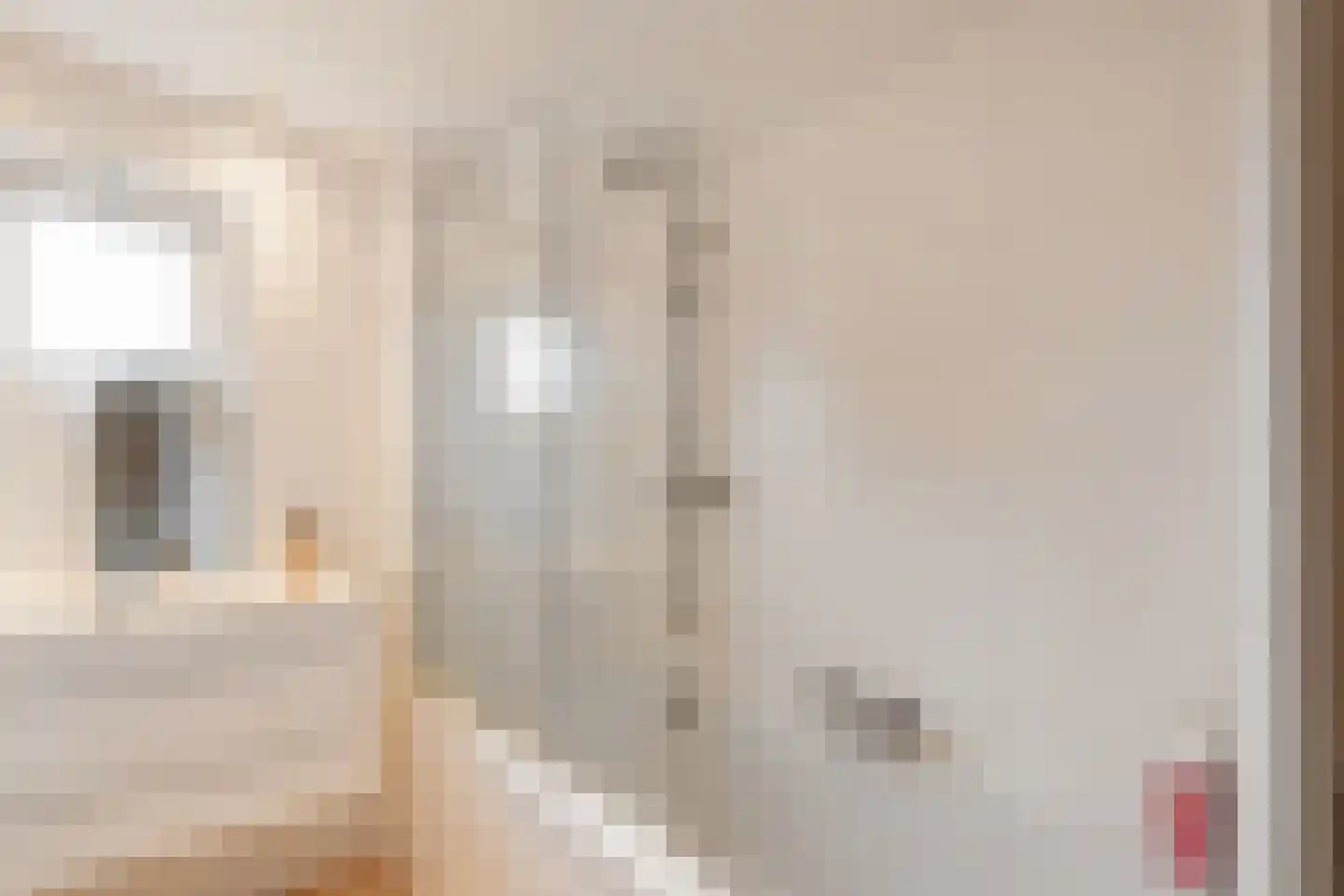 Begoniastraat 26 Olst thumbnail 19
