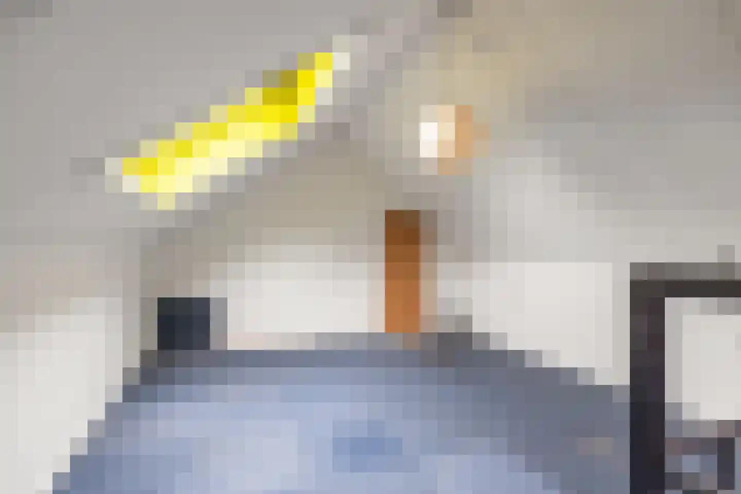 Begoniastraat 26 Olst thumbnail 21