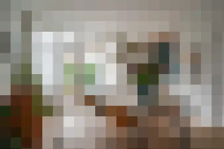 Begoniastraat 26 Zwolle thumbnail 19