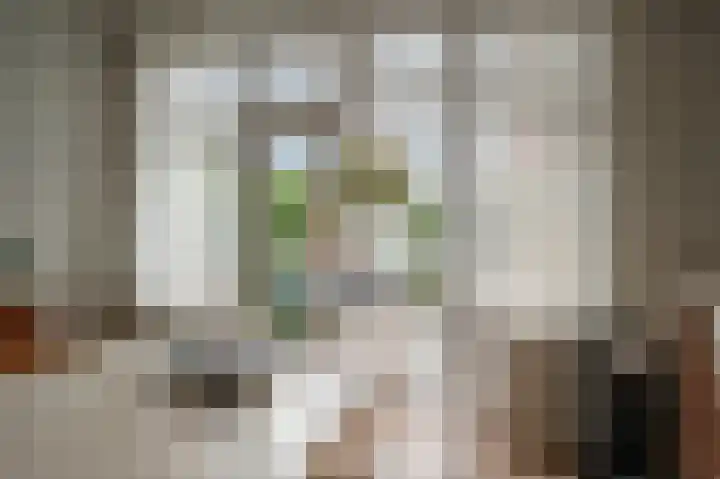 Begoniastraat 26 Zwolle thumbnail 20