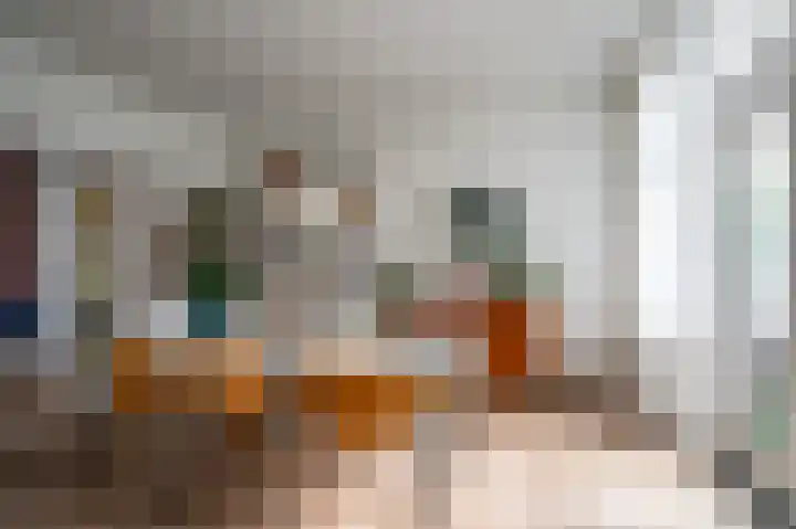 Begoniastraat 26 Zwolle thumbnail 21