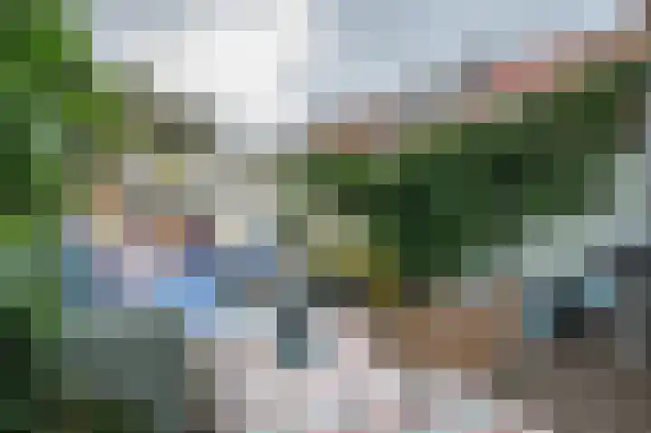 Begoniastraat 26 Zwolle thumbnail 25