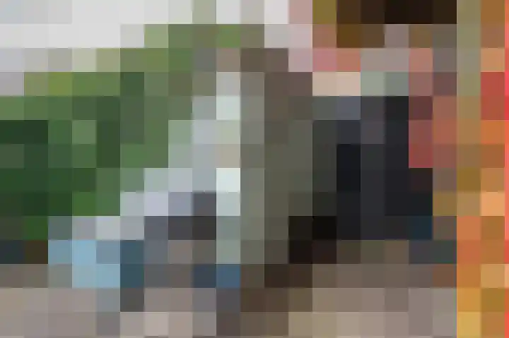 Begoniastraat 26 Zwolle thumbnail 29