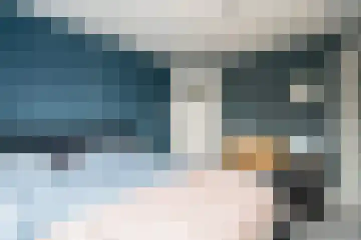 Begoniastraat 26 Zwolle thumbnail 35