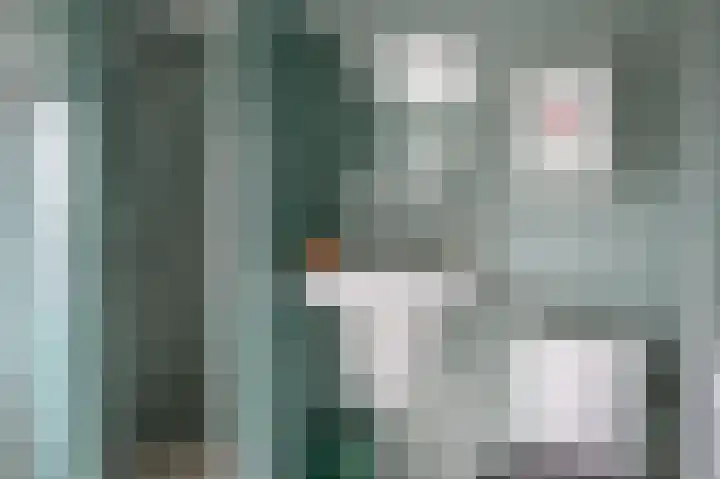 Begoniastraat 26 Zwolle thumbnail 36