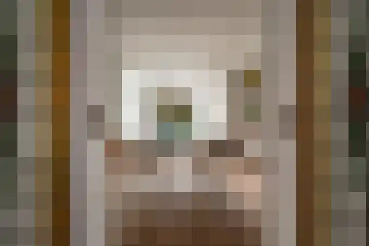 Begoniastraat 26 Zwolle thumbnail 4