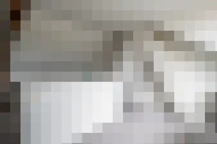 Begoniastraat 26 Zwolle thumbnail 42