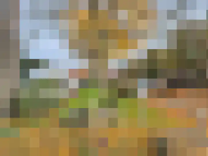 Begoniastraat 26 Zwolle thumbnail 44