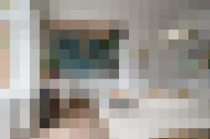Begoniastraat 26 Zwolle thumbnail 5
