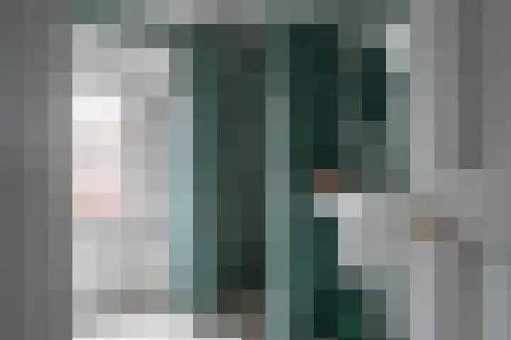 Begoniastraat 26 Zwolle thumbnail 9