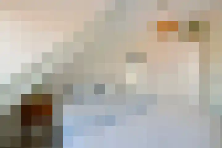 Begoniastraat 29 A Amsterdam thumbnail 19