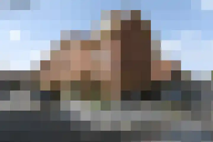 Begoniastraat 29 A Amsterdam thumbnail 26