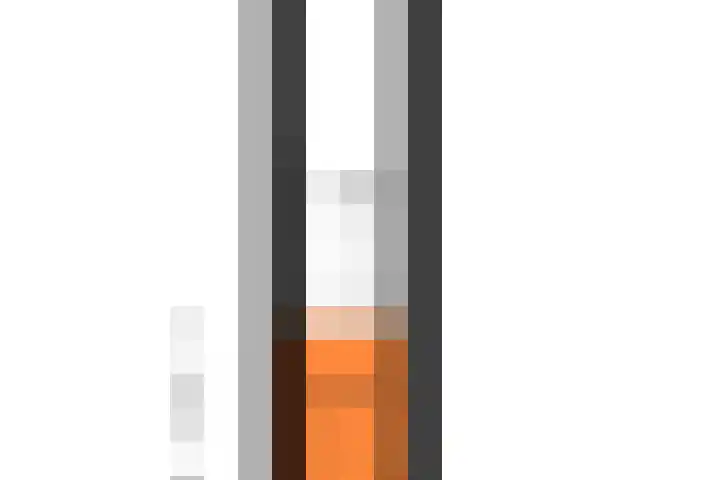 Begoniastraat 29 A Amsterdam thumbnail 31