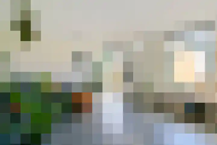 Begoniastraat 29 A Amsterdam thumbnail 8