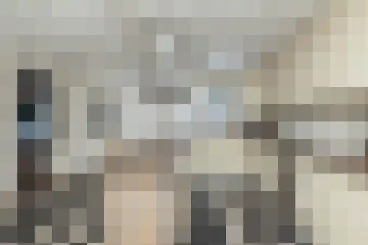 Begoniastraat 29 Hoogeveen thumbnail 19