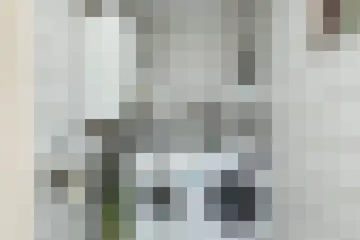 Begoniastraat 29 Hoogeveen thumbnail 20