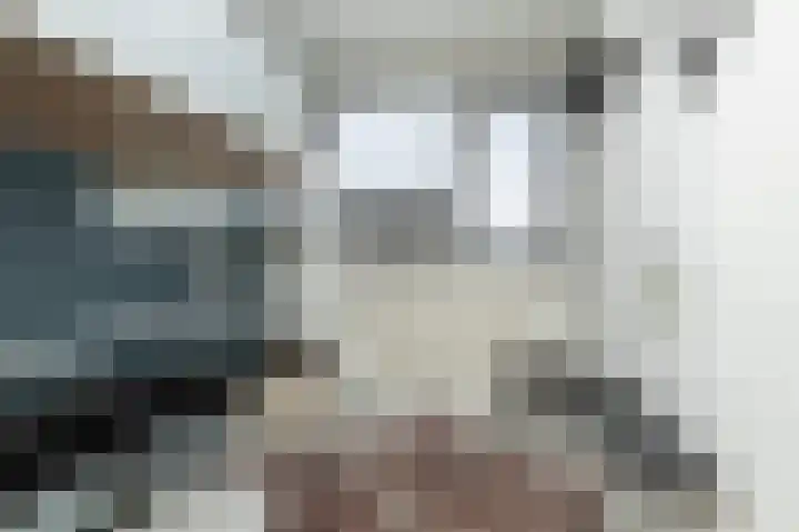 Begoniastraat 29 Hoogeveen thumbnail 30