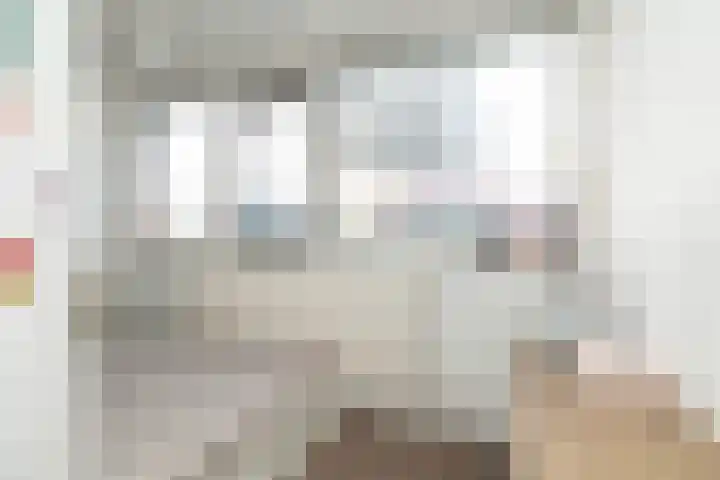 Begoniastraat 29 Hoogeveen thumbnail 33
