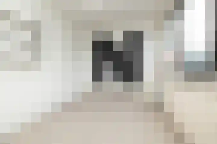Begoniastraat 29 Hoogeveen thumbnail 34