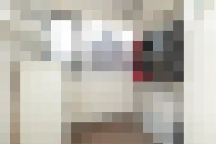 Begoniastraat 29 Hoogeveen thumbnail 35