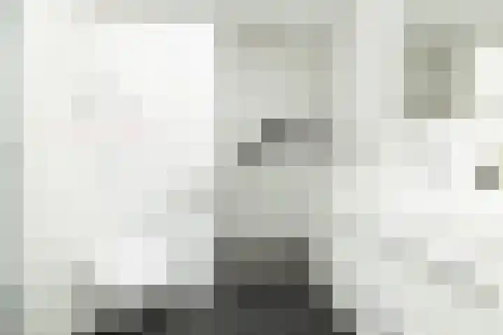 Begoniastraat 29 Hoogeveen thumbnail 36