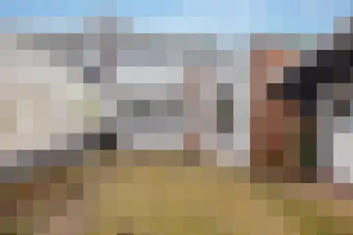 Begoniastraat 29 Hoogeveen thumbnail 40