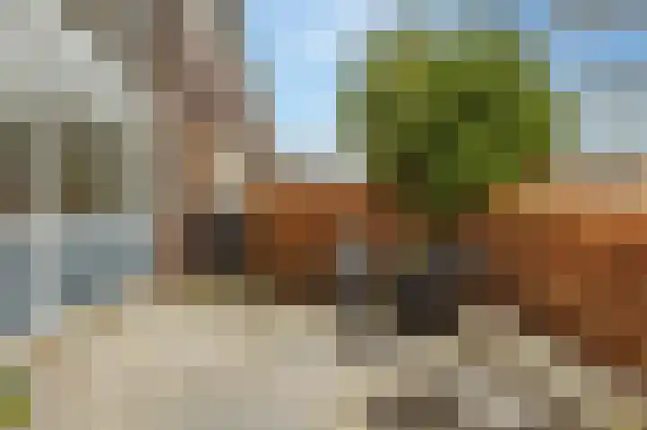 Begoniastraat 29 Hoogeveen thumbnail 47