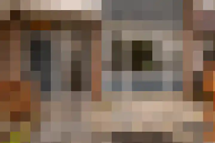 Begoniastraat 29 Hoogeveen thumbnail 6