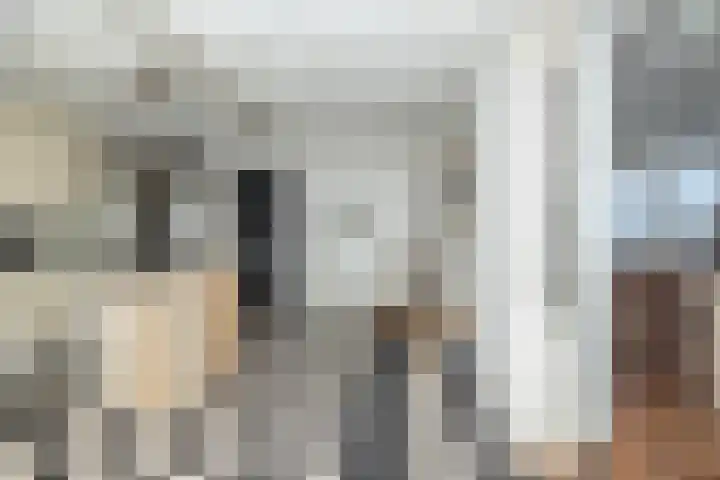 Begoniastraat 29 Hoogeveen thumbnail 8
