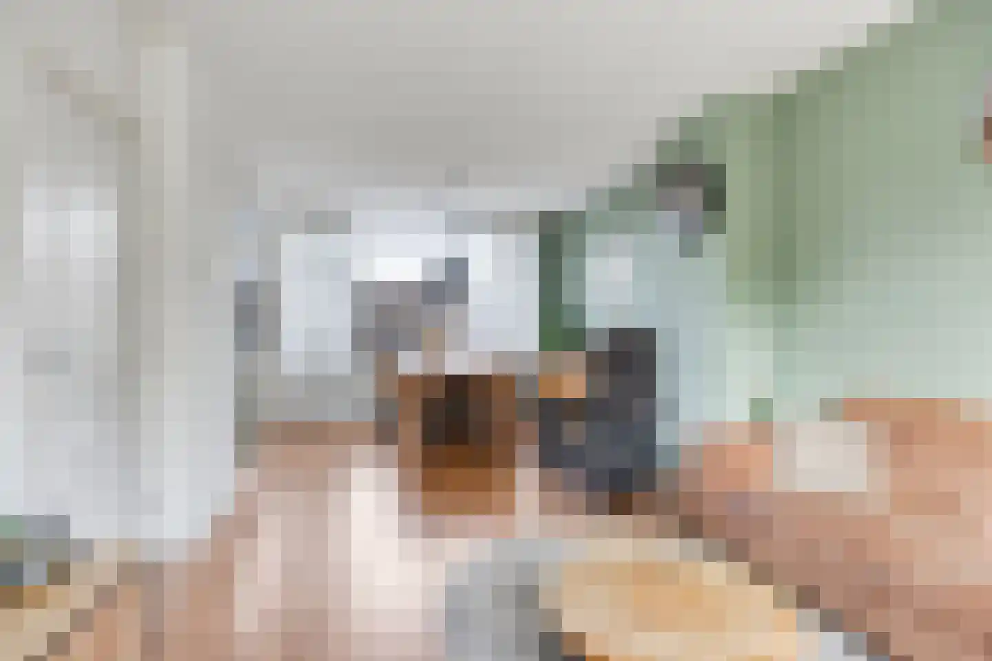 Begoniastraat 3 Hoogeveen thumbnail 10