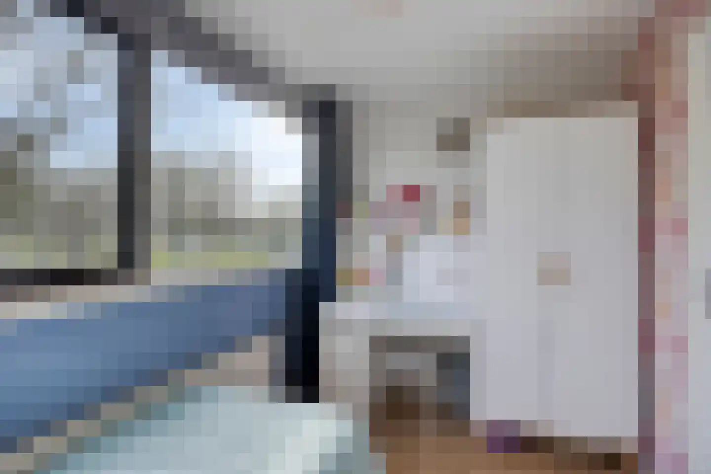 Begoniastraat 3 Hoogeveen thumbnail 21