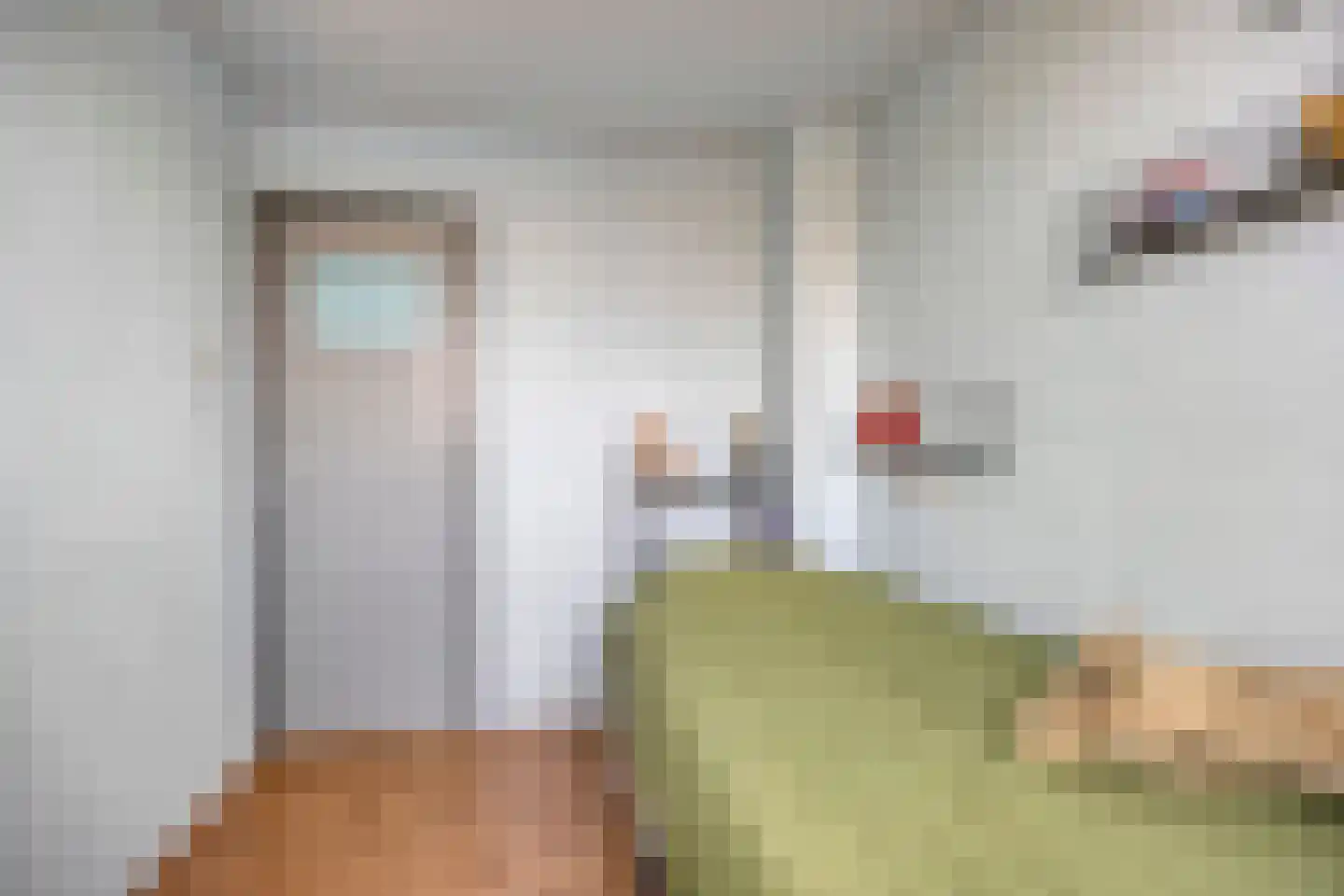 Begoniastraat 3 Hoogeveen thumbnail 23