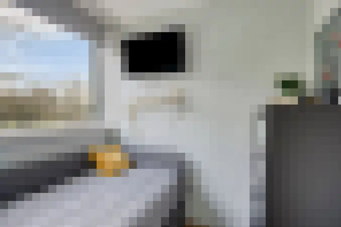 Begoniastraat 3 Hoogeveen thumbnail 25