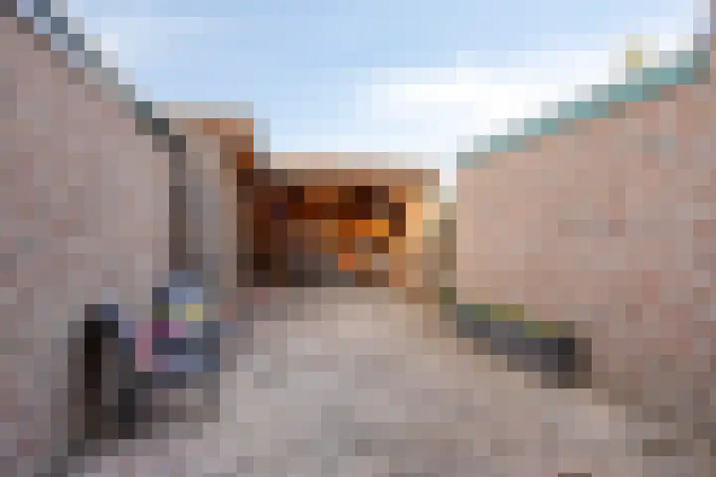 Begoniastraat 3 Hoogeveen thumbnail 27