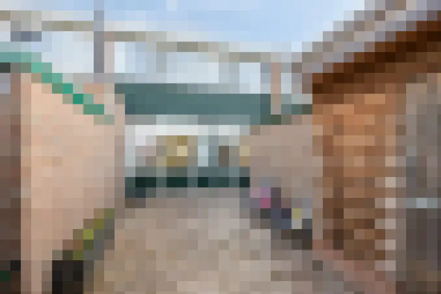 Begoniastraat 3 Hoogeveen thumbnail 28