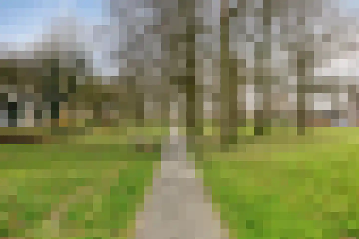 Begoniastraat 3 Hoogeveen thumbnail 38
