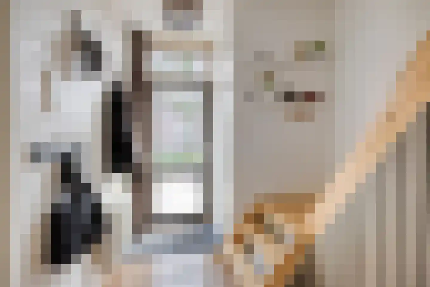 Begoniastraat 3 Hoogeveen thumbnail 5