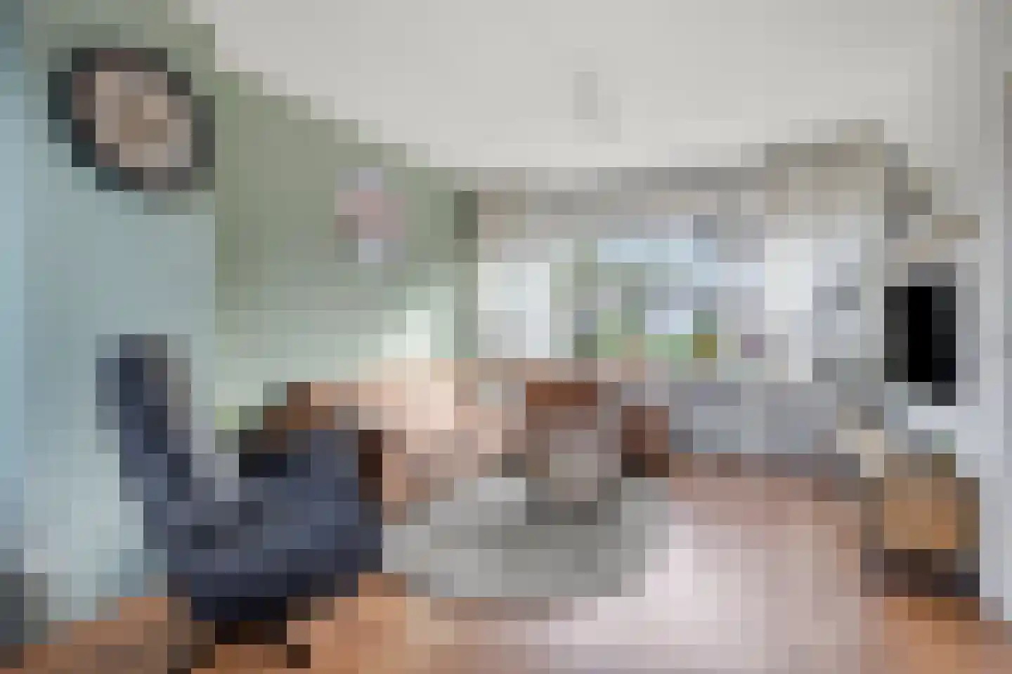 Begoniastraat 3 Hoogeveen thumbnail 7
