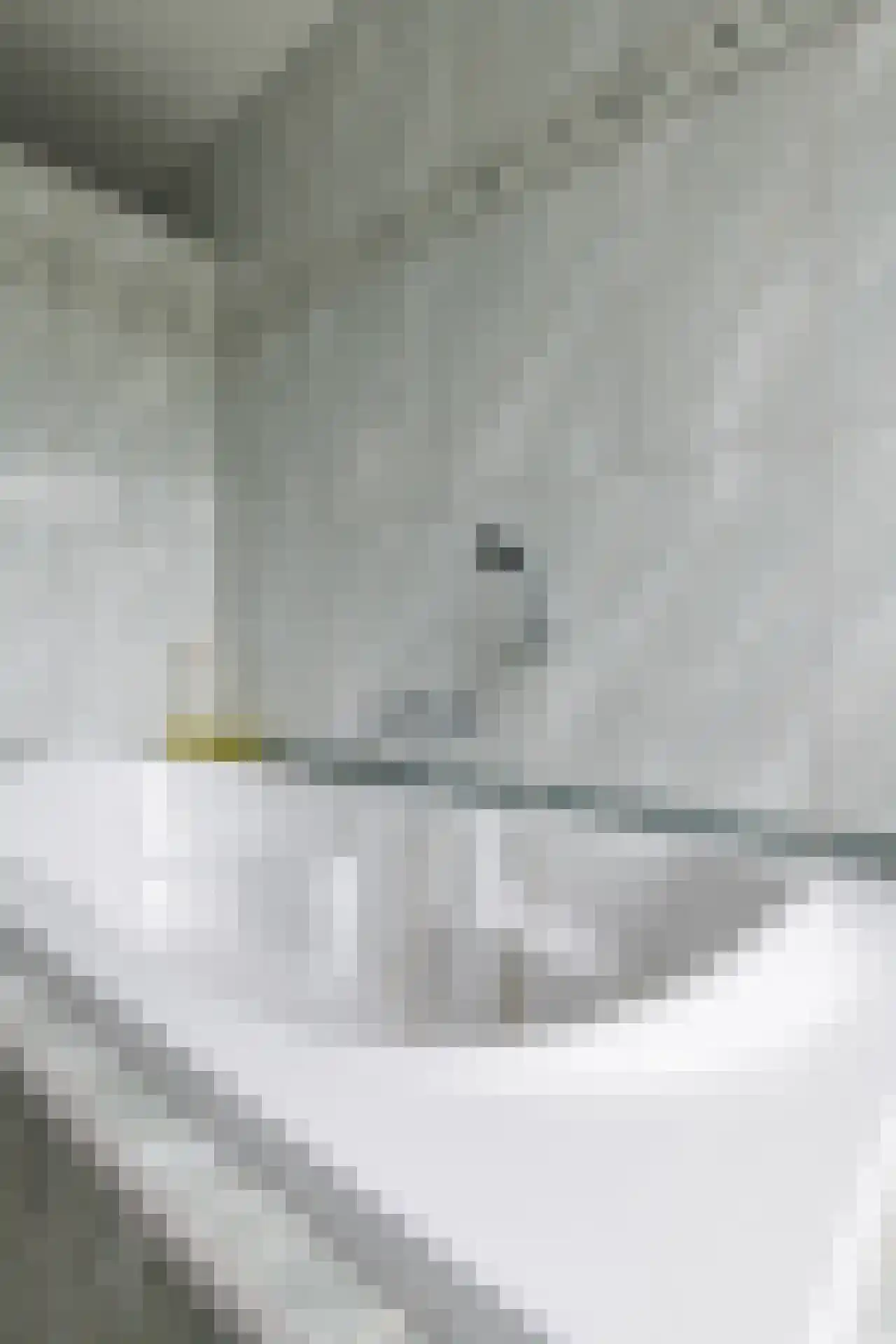 Begoniastraat 3 Kerkrade thumbnail 31