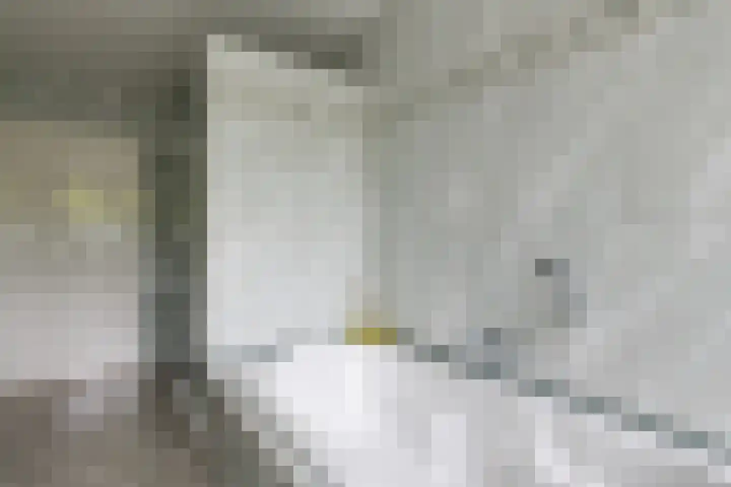 Begoniastraat 3 Kerkrade thumbnail 32