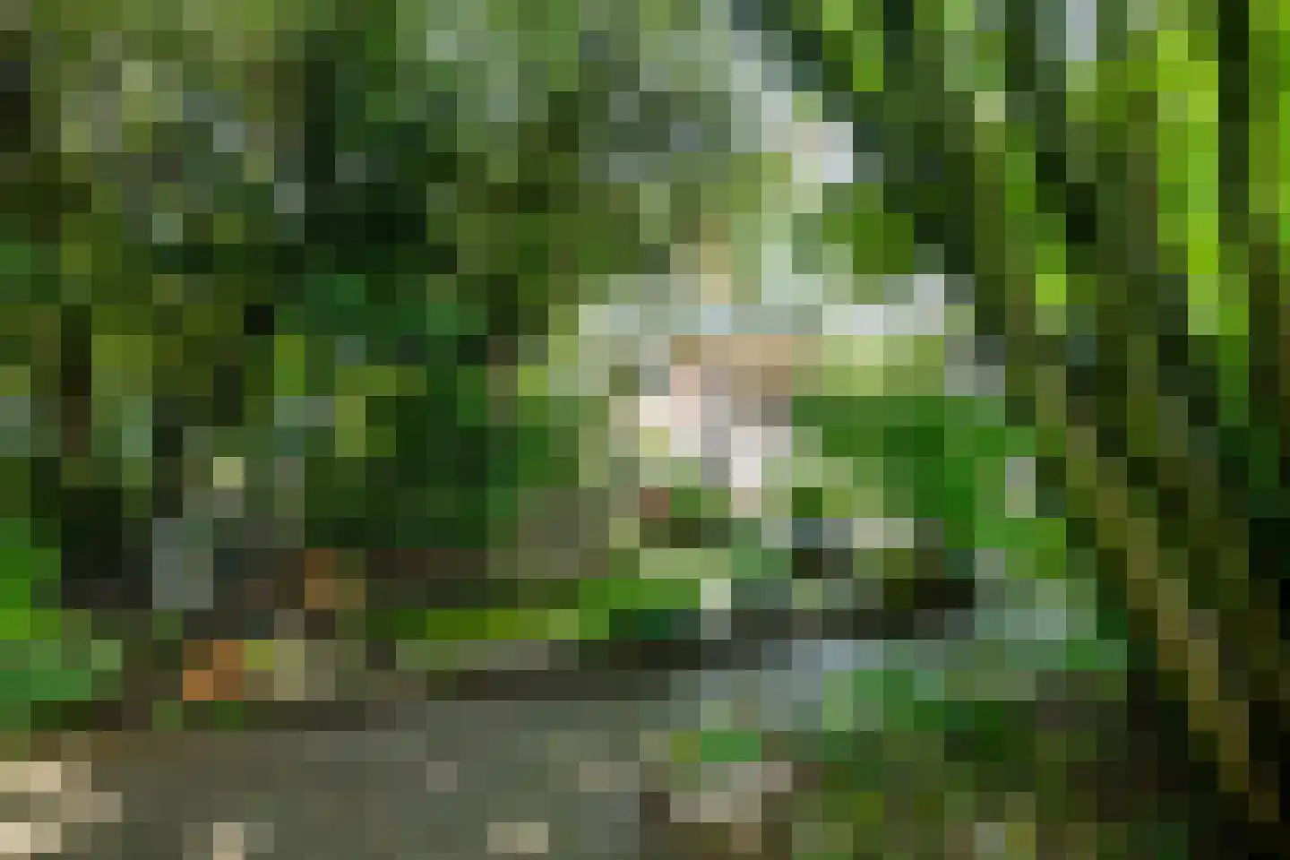 Begoniastraat 3 Kerkrade thumbnail 42