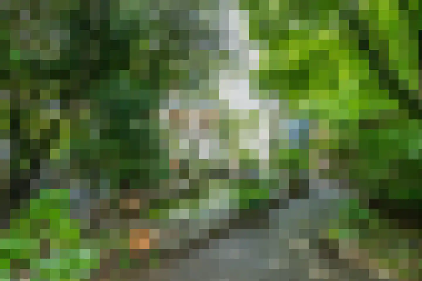 Begoniastraat 3 Kerkrade thumbnail 43