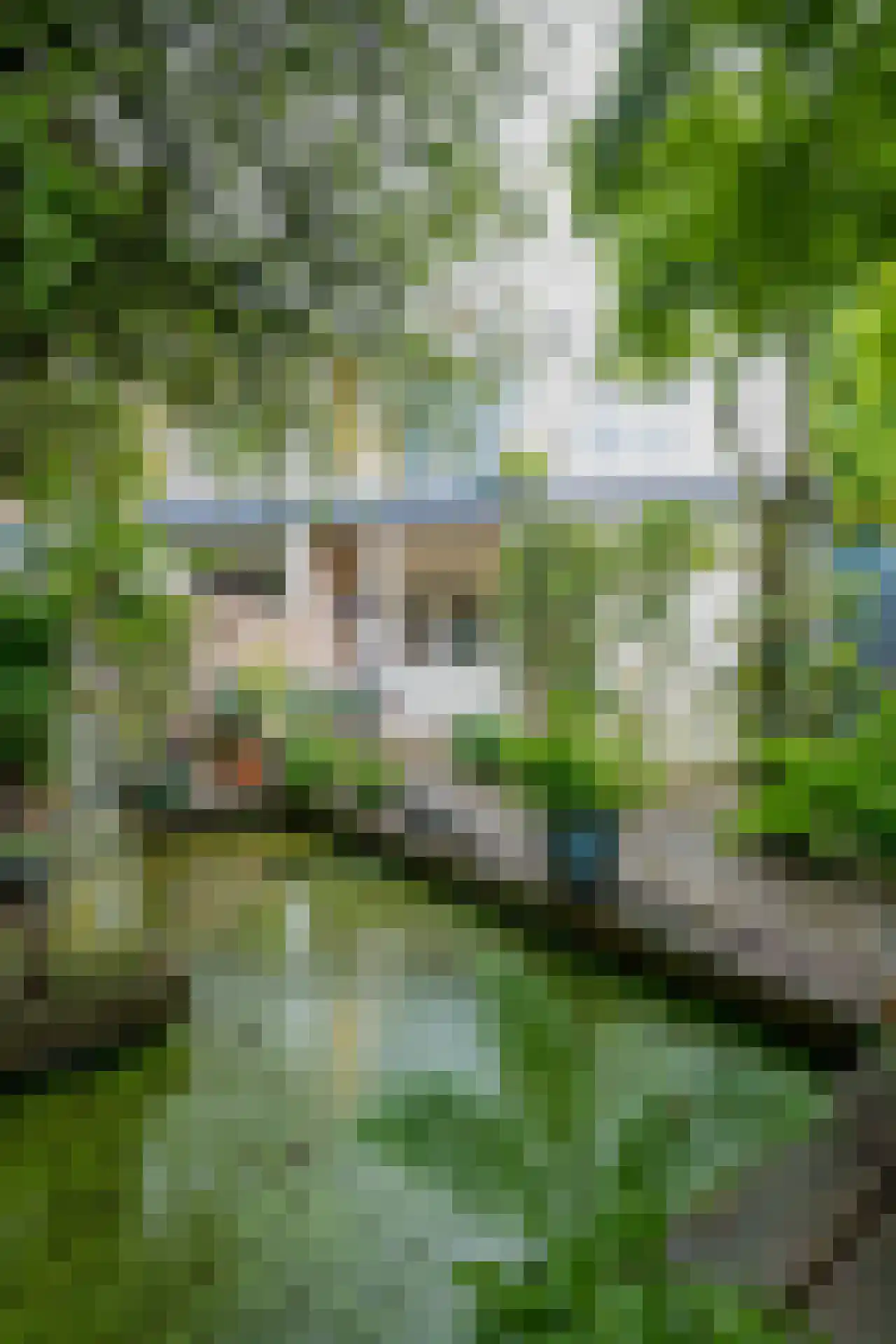 Begoniastraat 3 Kerkrade thumbnail 44