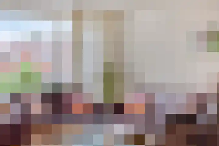 Begoniastraat 3 Losser thumbnail 10