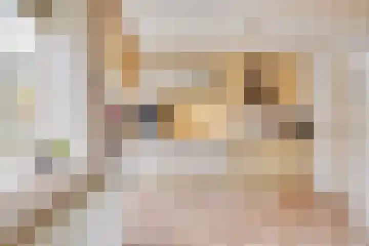 Begoniastraat 3 Losser thumbnail 12