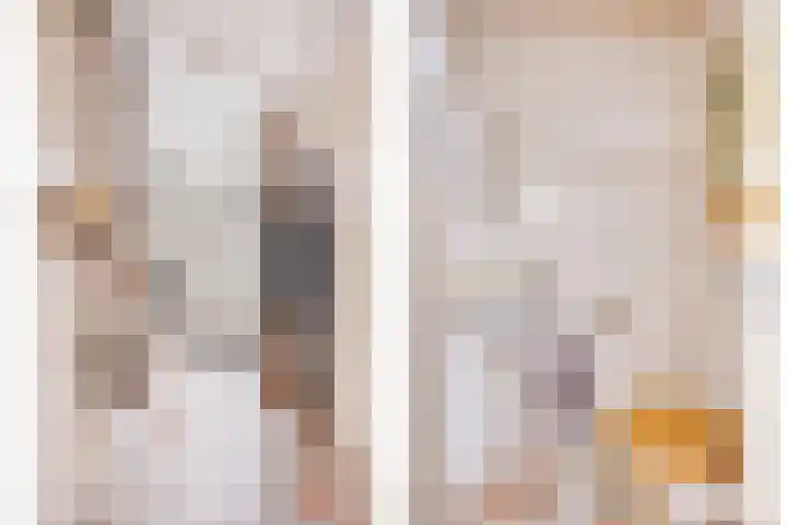 Begoniastraat 3 Losser thumbnail 7